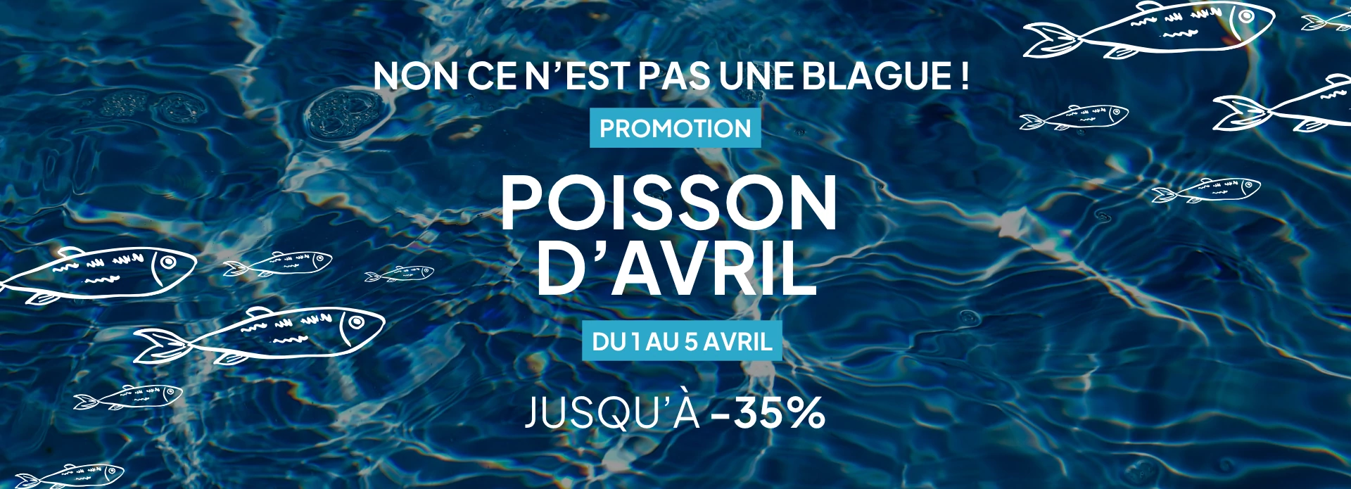 OFFRES POISSON D'AVRIL